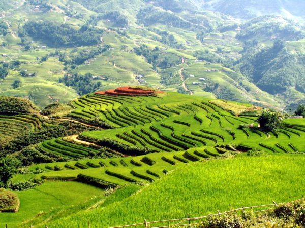 Tour Sapa https://hanoifoodjeeptour.com/